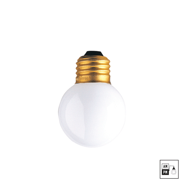 ampoule-incandescente-globe-G25